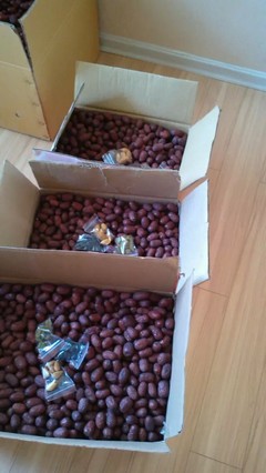 自家產新疆大棗，天然小棗，批發零售，品質之選